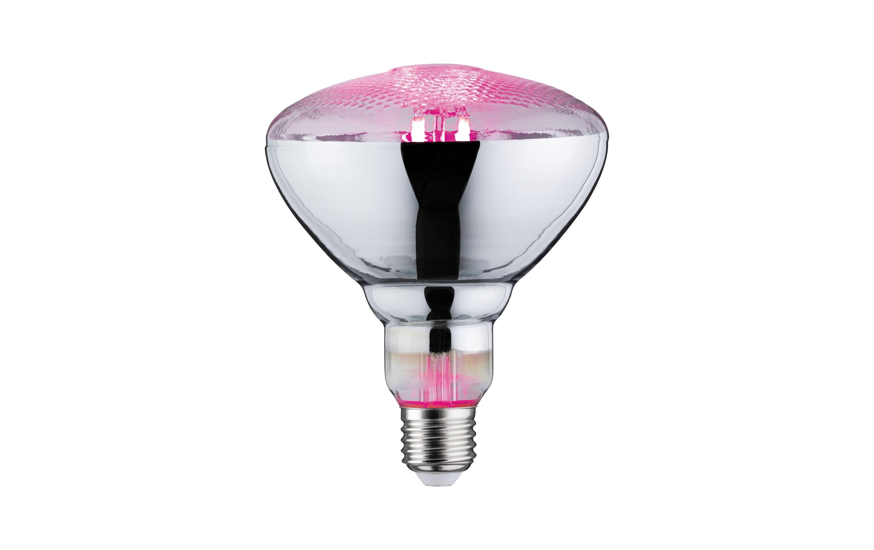 Paulmann Leuchtmittel Grow Green PAR38 E27, 6.5 W Paulmann Leuchtmittel Grow Green PAR38 E27, 6.5 W