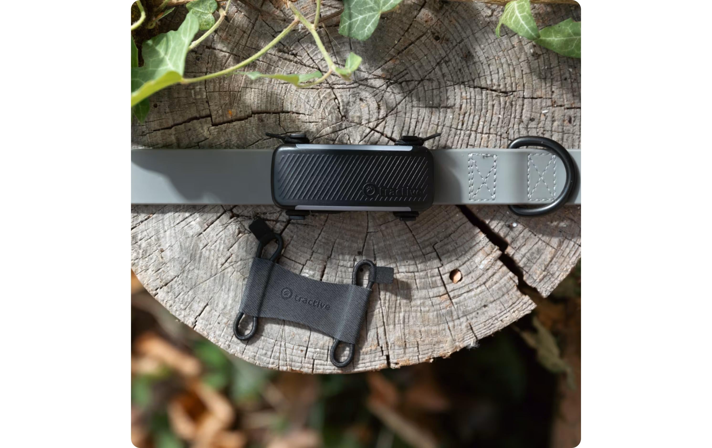 tractive GPS-Tracker Dog 6 Textilklammer L 2 Stück