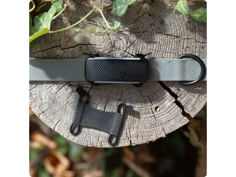tractive GPS-Tracker Dog 6 Textilklammer L 2 Stück