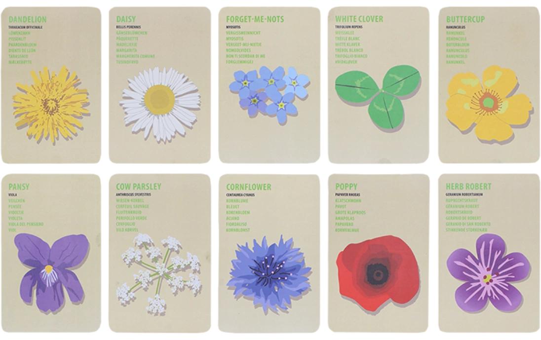 Esschert Design Entdecker-Tasche Flowers mit Holzblumenpresse