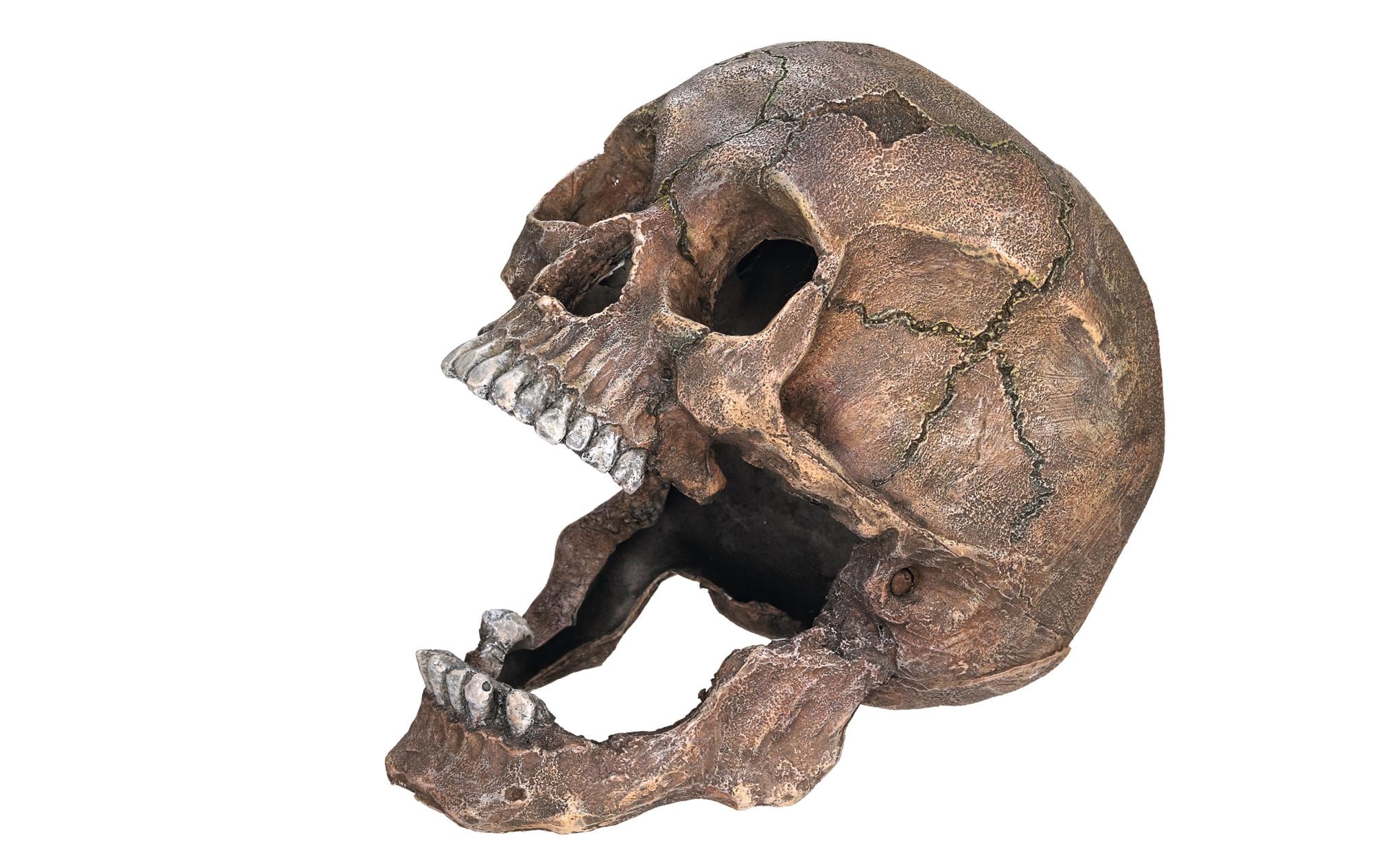 Nobby Aqua Ornaments Totenkopf, 13.5 x 20 x 16.5 cm