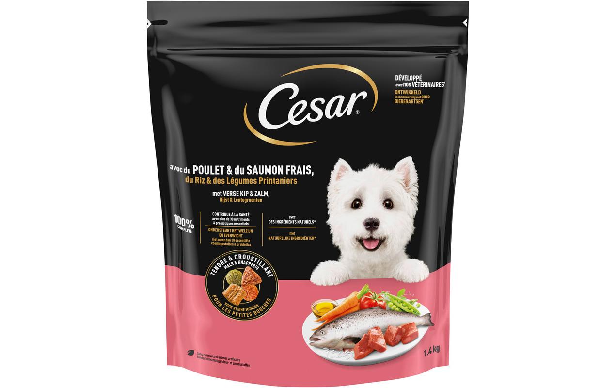 Cesar Trockenfutter Mediterranean Feast Huhn, 1.4 kg