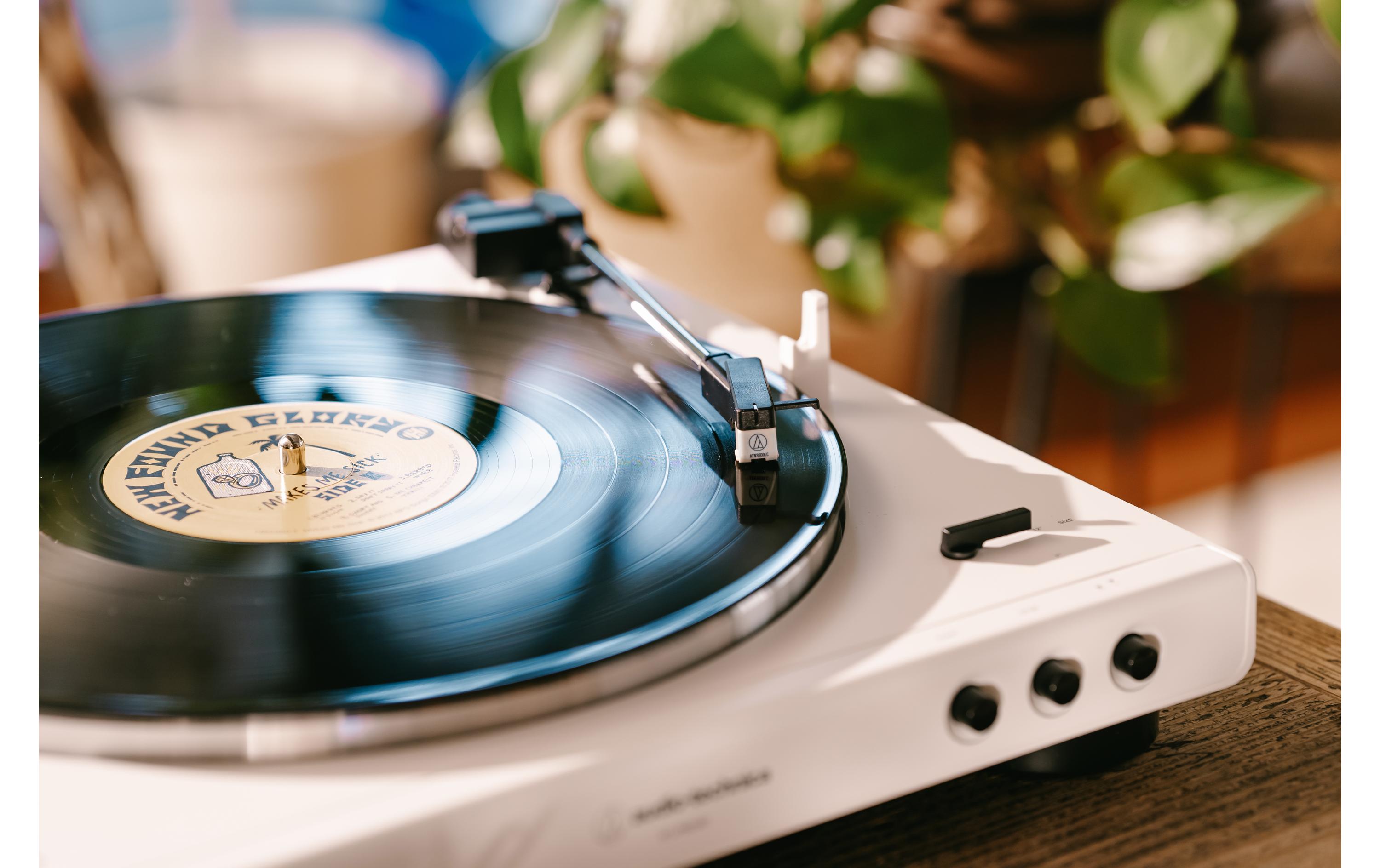 Audio-Technica Ersatznadel ATN3600LC