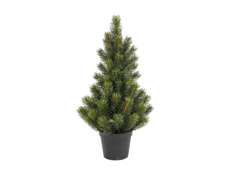 Botanic-Haus Weihnachtsbaum Tannenbaum im Topf, 51 cm Botanic-Haus Weihnachtsbaum Tannenbaum im Topf, 51 cm