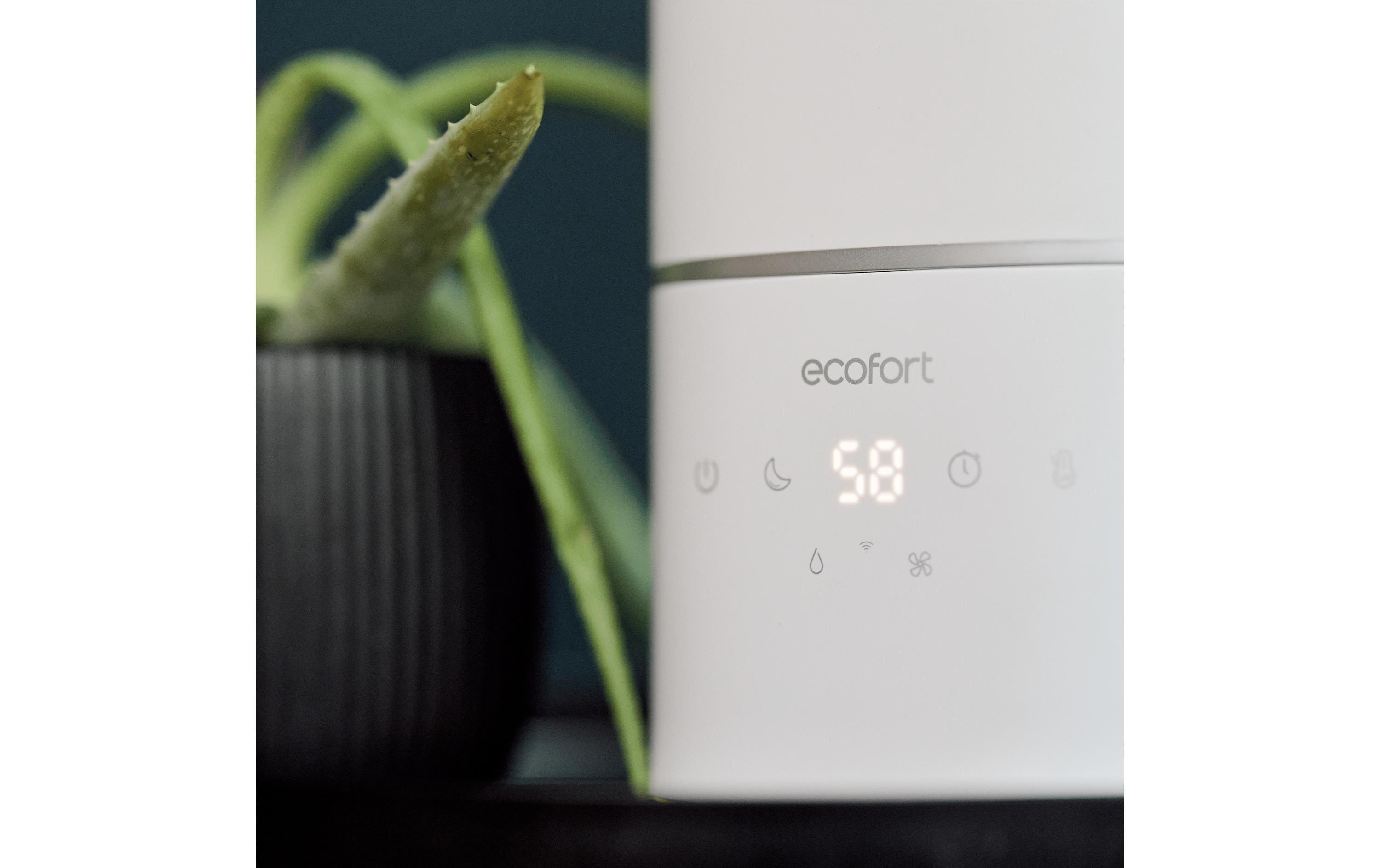 Ecofort Luftbefeuchter ecoQ HumidAir U400