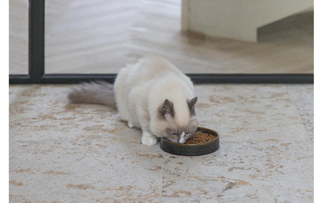 Designed by Lotte Kera Katzennapf Jace 15 x 15 x 3 cm, schwarz