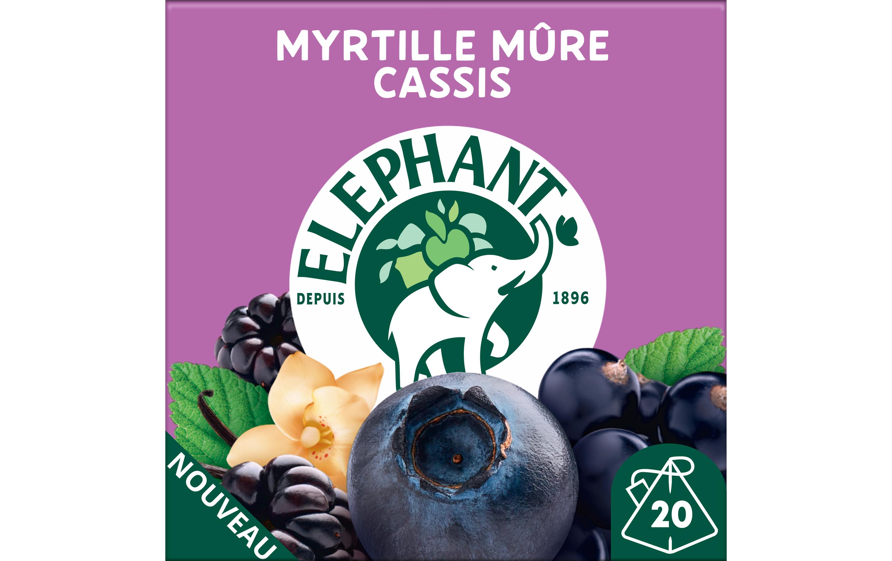 Eléphant Teebeutel Infusion Myrtille Múre Cassis 20 Stück
