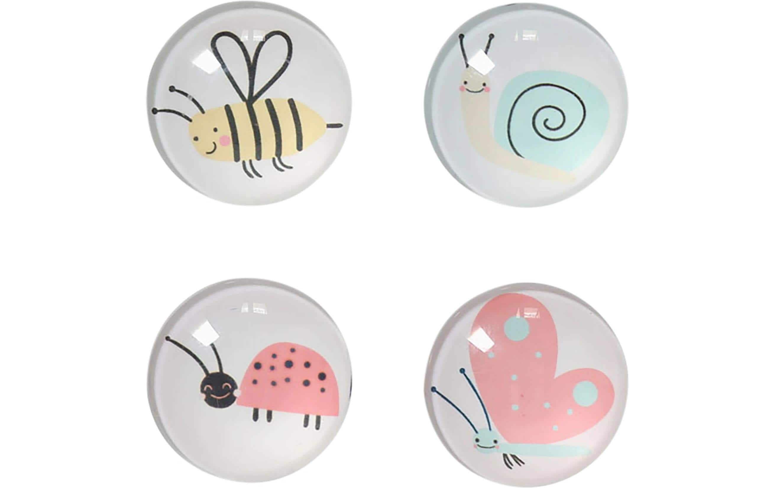 Zeller Present Magnete Insekten 4 Stück Zeller Present Magnete Insekten 4 Stück