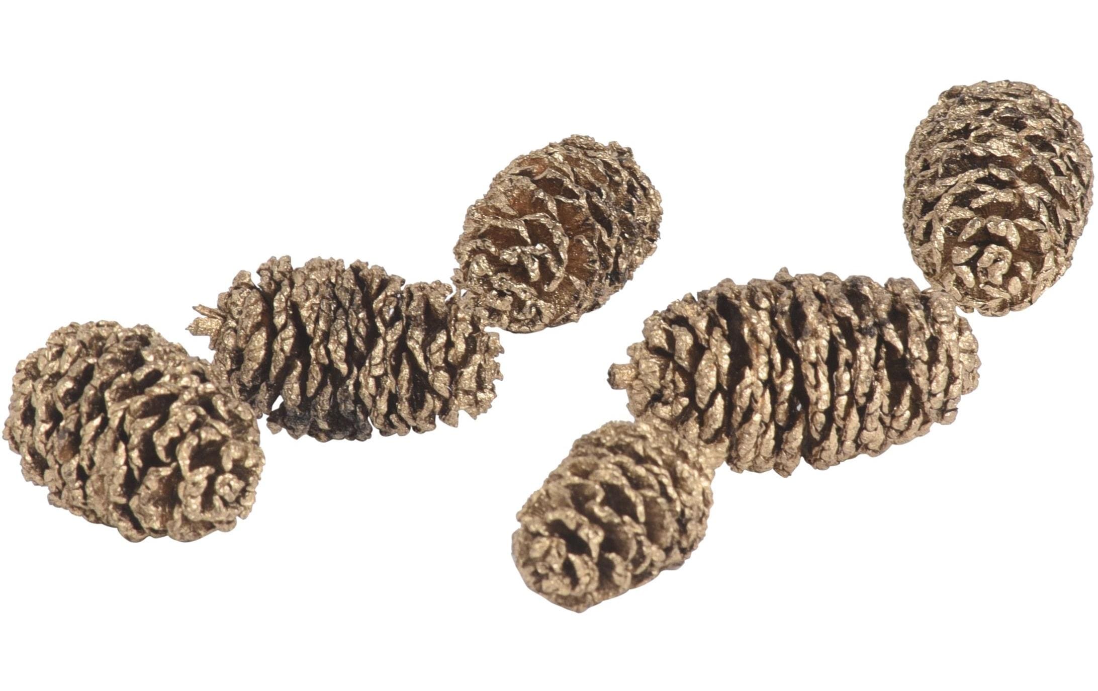 COCON Streudeko Erlenzapfen Gold COCON Streudeko Erlenzapfen Gold