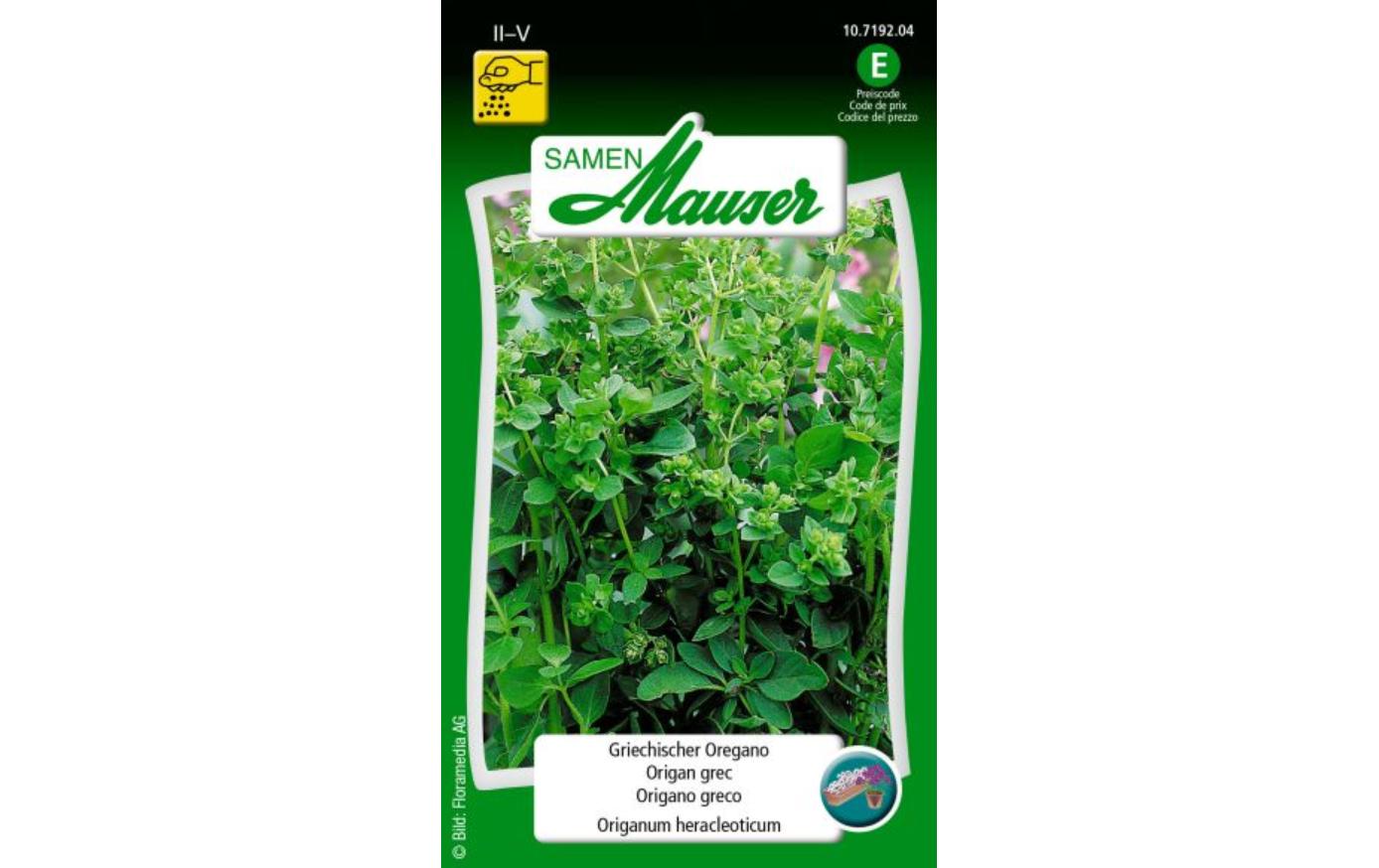 Samen Mauser Samen Griechischer Oregano Samen Mauser Samen Griechischer Oregano