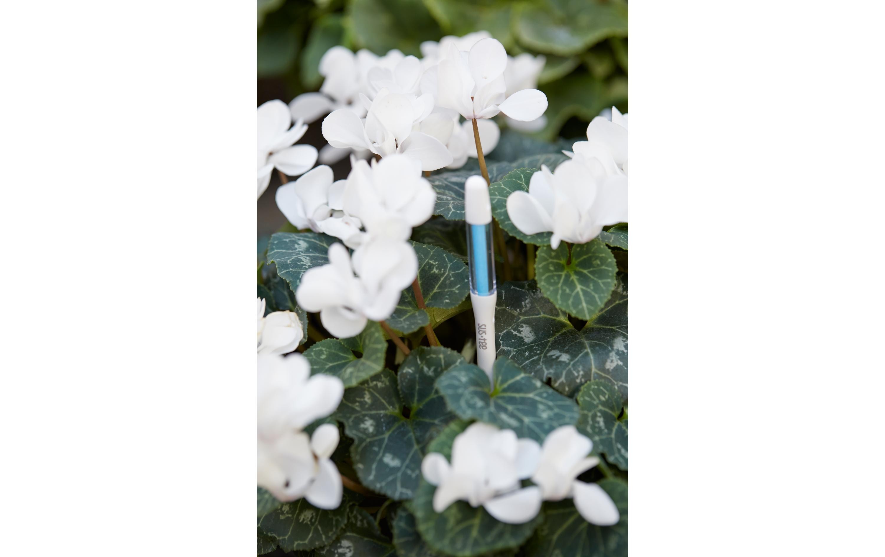 SUStee SUSTEE Giessanzeiger 5er Set M Schwarz Schwarz