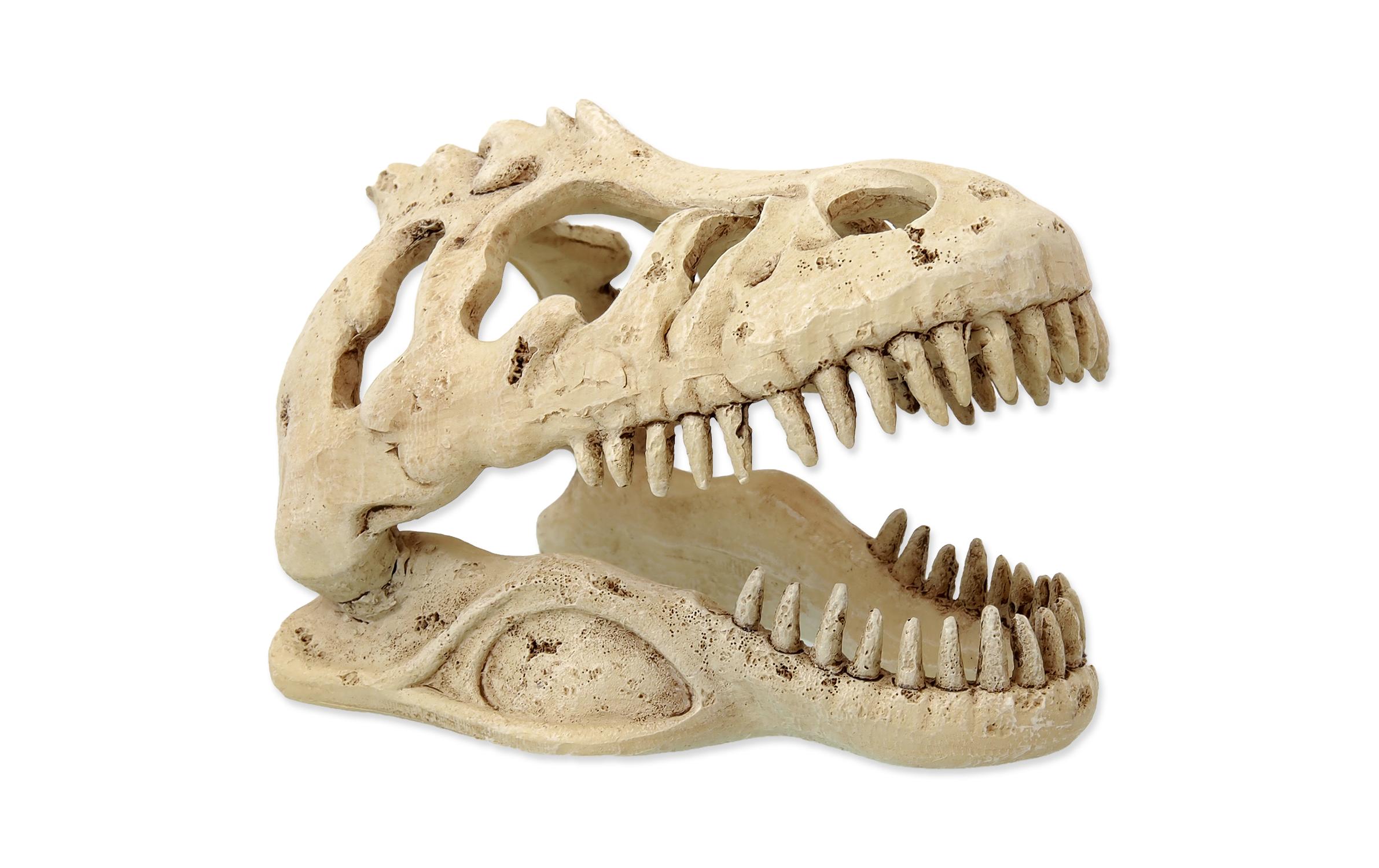 Repti Planet Dekoschädel T-Rex