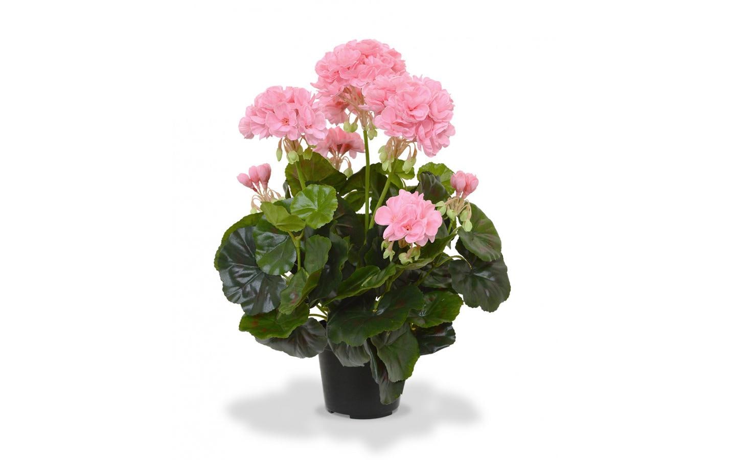 Botanic-Haus Kunstpflanze Geranien in Topf Rosa, 40 cm