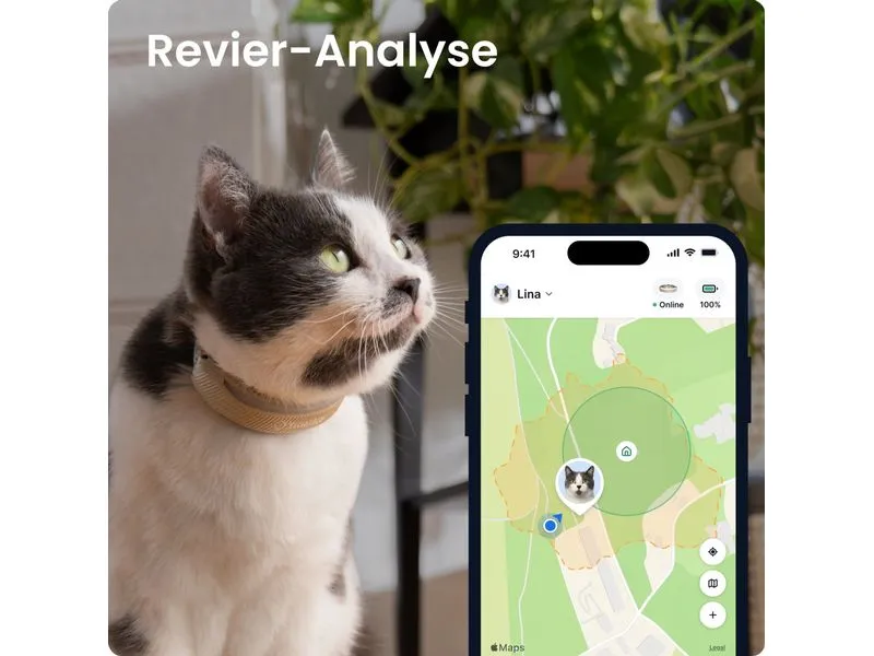 tractive Tractive CAT 6 mini – brown tractive Tractive CAT 6 mini – brown
