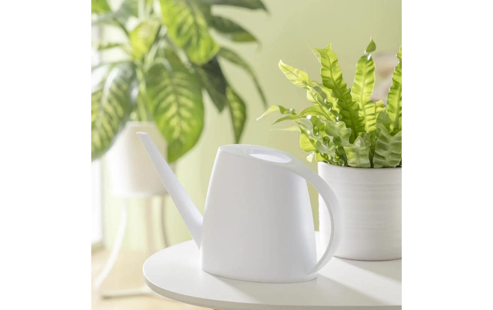 scheurich Giesskanne Lilly Weiss matt scheurich Giesskanne Lilly Weiss matt