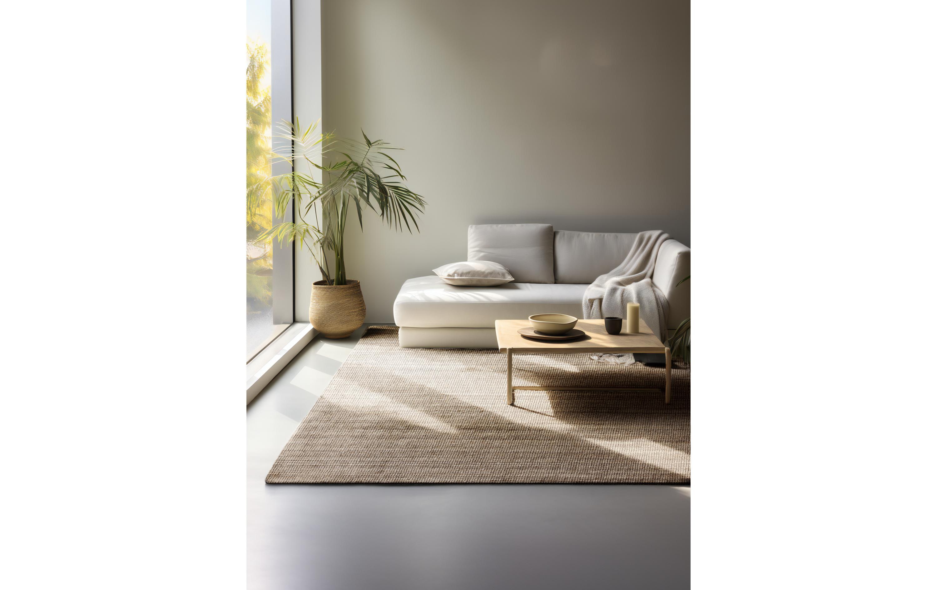 Hanse Home Teppich Jaipur 160 cm x 230 cm, Hellbraun