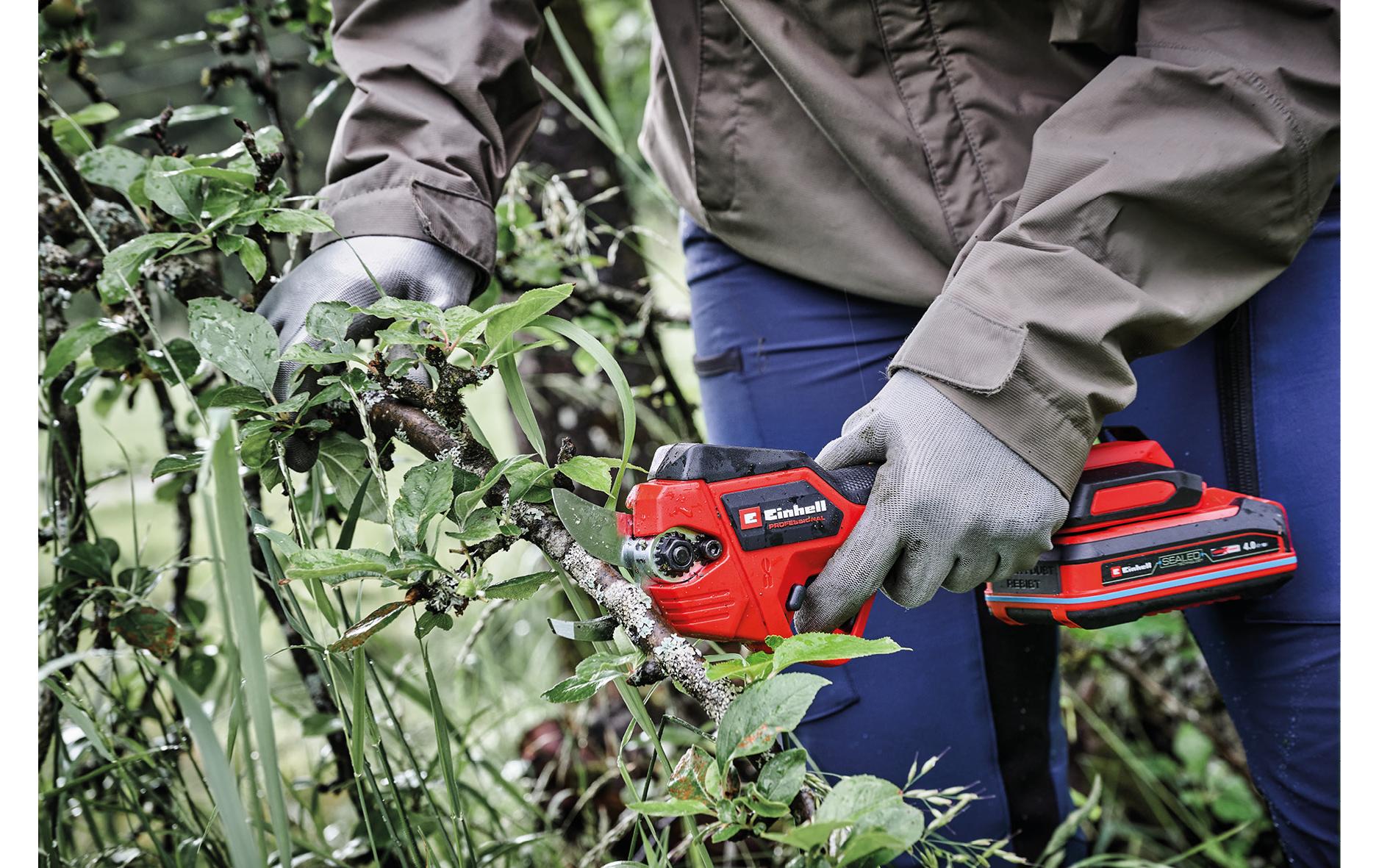 Einhell Akku-Astschere GP-LS 18/28 Li T BL (1 x 2.5Ah SK)