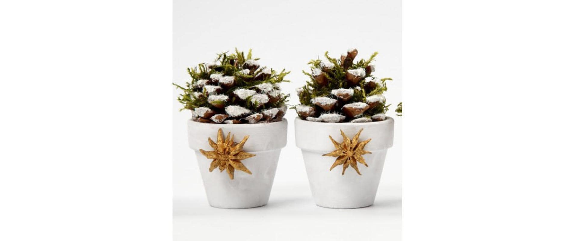 Creativ Company Tannenzapfen Kiefernzapfen 40 mm