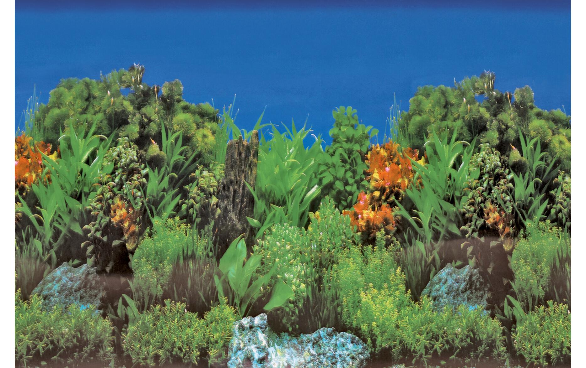 SuperFish Rückwandfolie Deko Poster B5 120 x 61 cm SuperFish Rückwandfolie Deko Poster B5 120 x 61 cm