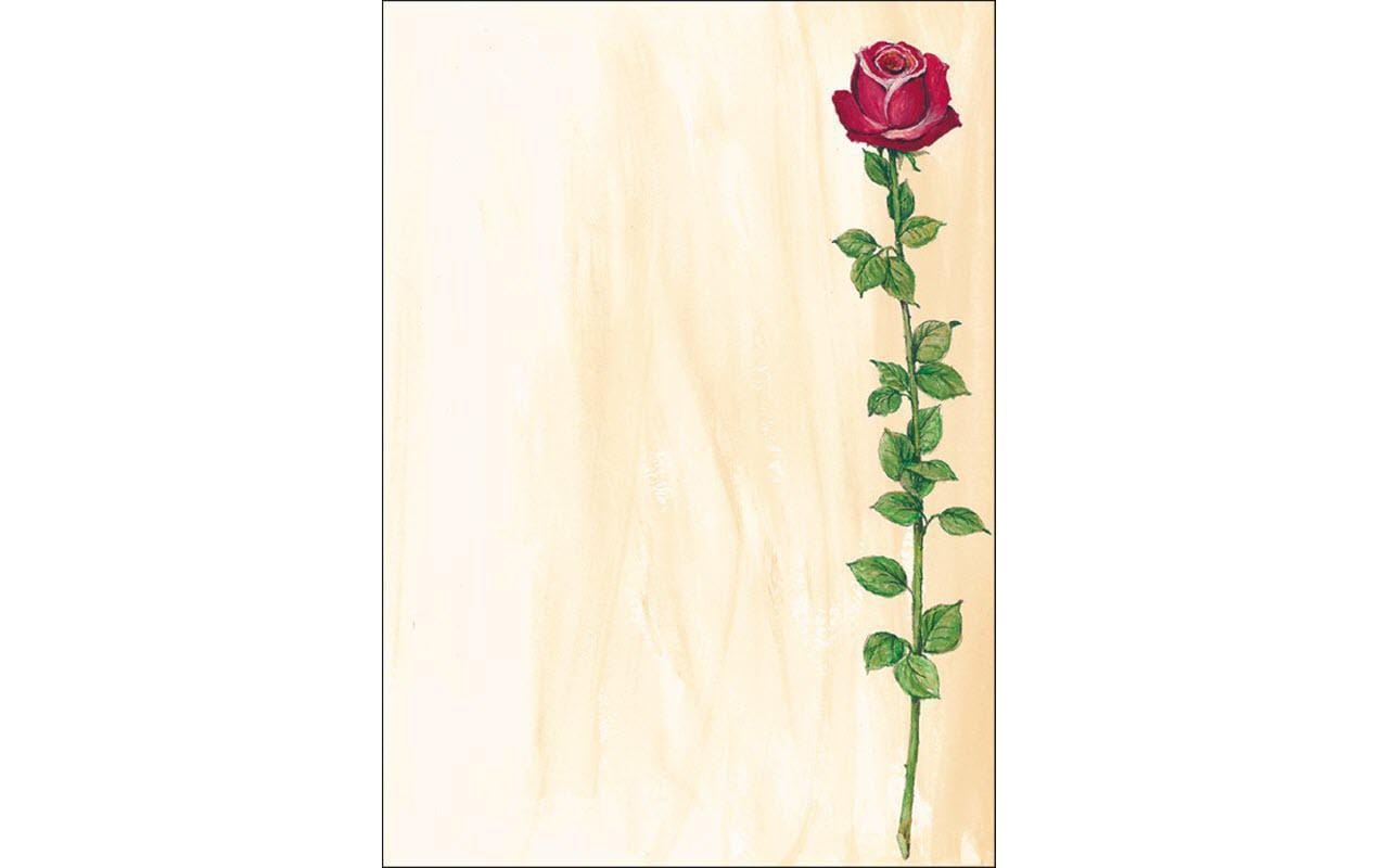 Sigel Motivpapier Rose Bloom A4, 25 Blatt