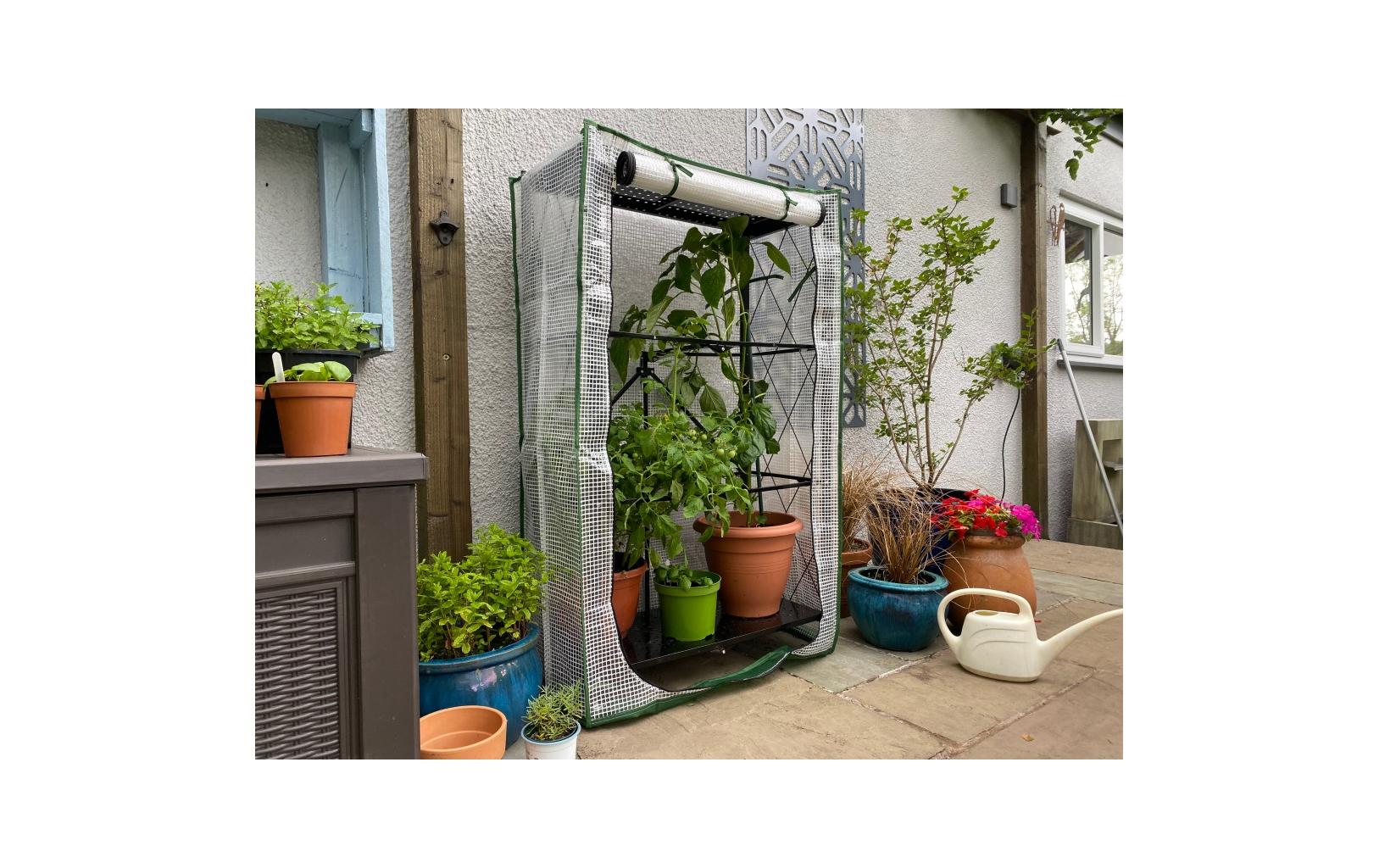 Colibri Gewächshaus Multiflex 3 mit PE Folie 71.5 x 34 x 87 cm Colibri Gewächshaus Multiflex 3 mit PE Folie 71.5 x 34 x 87 cm