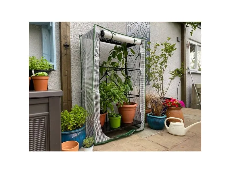 Colibri Gewächshaus Multiflex 3 mit PE Folie 71.5 x 34 x 87 cm Colibri Gewächshaus Multiflex 3 mit PE Folie 71.5 x 34 x 87 cm