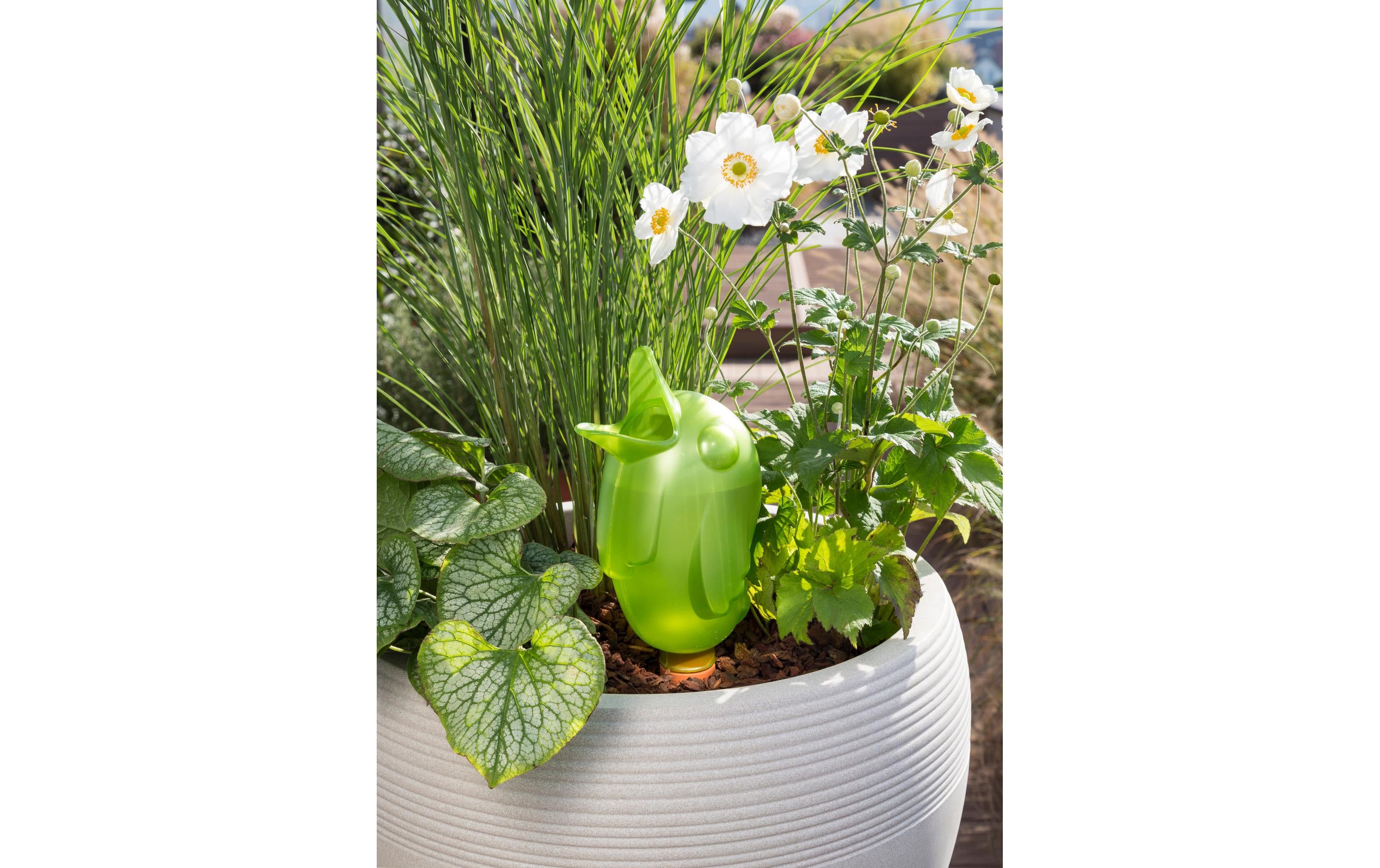 scheurich Wasserspender Bördy XXL Grün