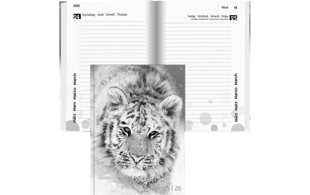 Biella Schüleragenda Mydiary 25/26 FSC, 1T/1S, 12 x 16.5 cm Biella Schüleragenda Mydiary 25/26 FSC, 1T/1S, 12 x 16.5 cm