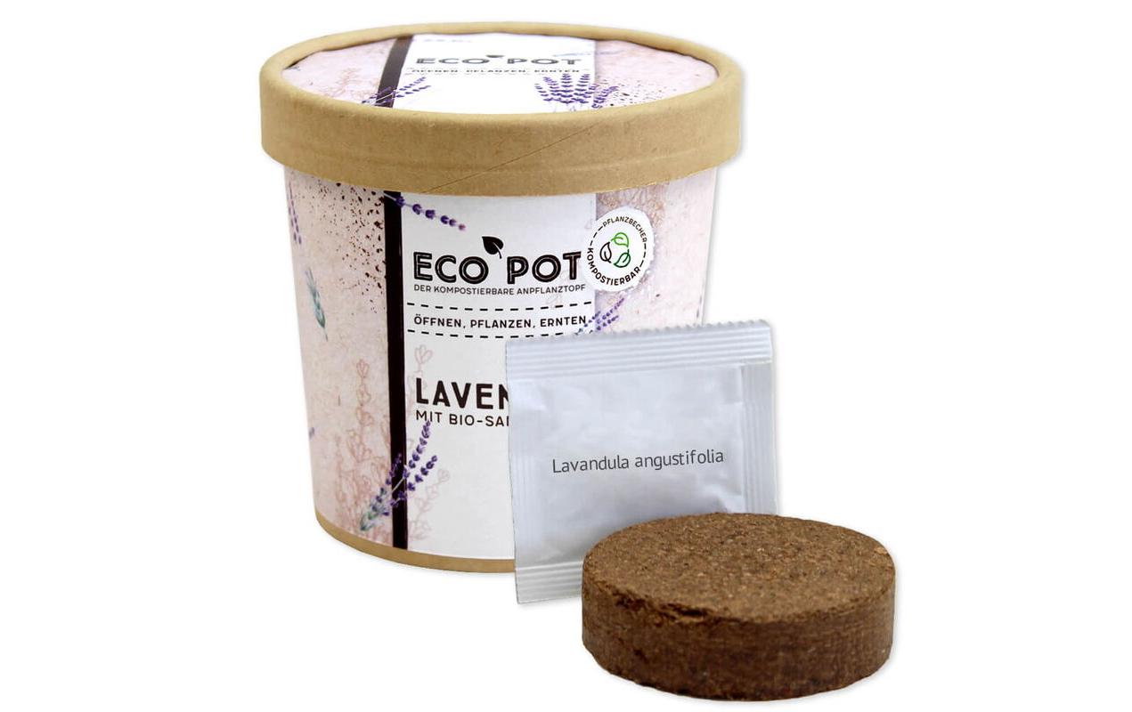 Feel Green EcoPot Lavendel BIO