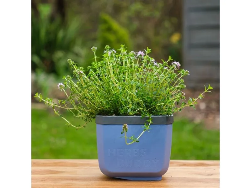 Gusta Garden HERBS BUDDY Kräutertopf Blau