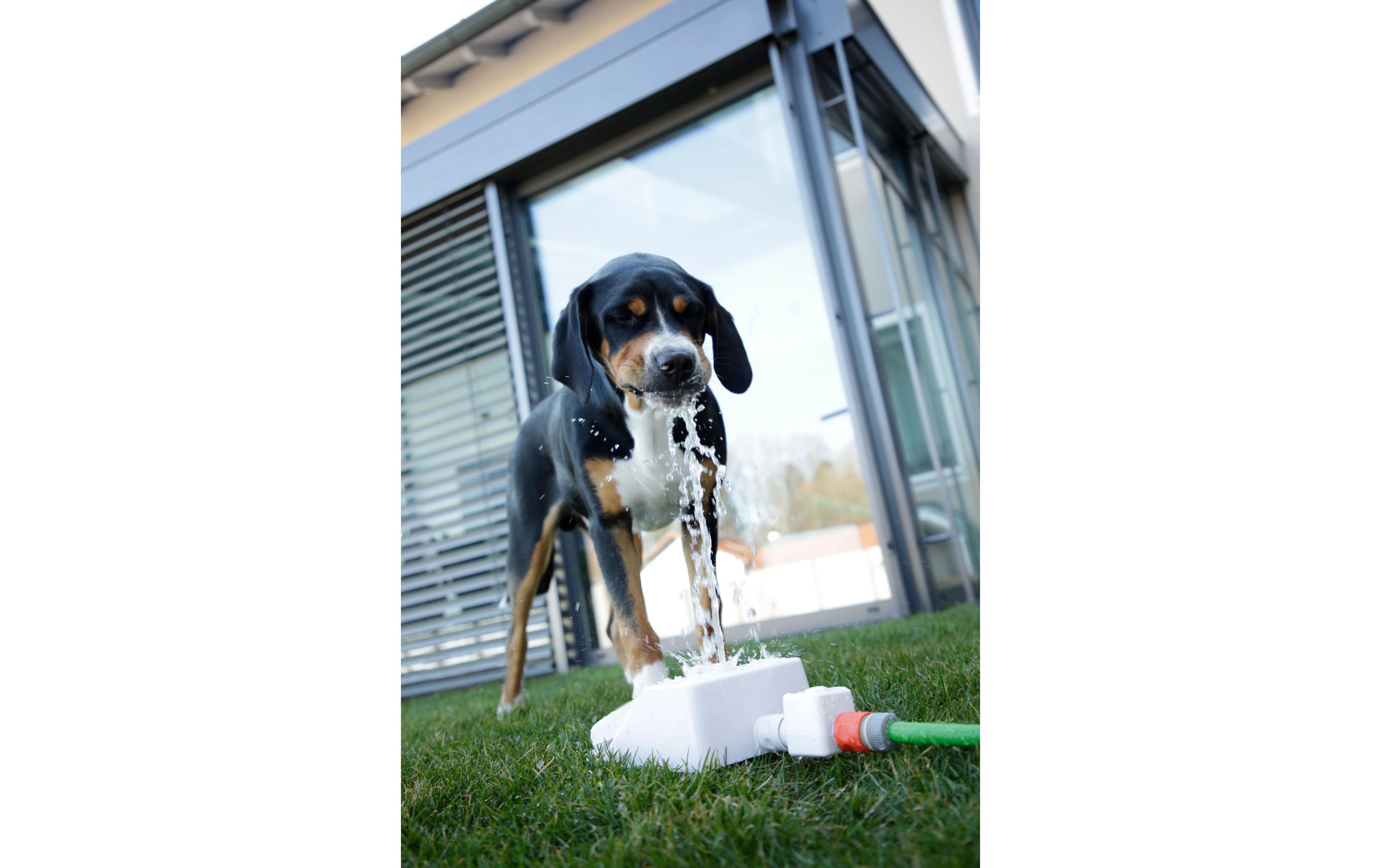 Kerbl Wasserspringbrunnen Bubble 25.5 cm x 18 cm x 8 cm