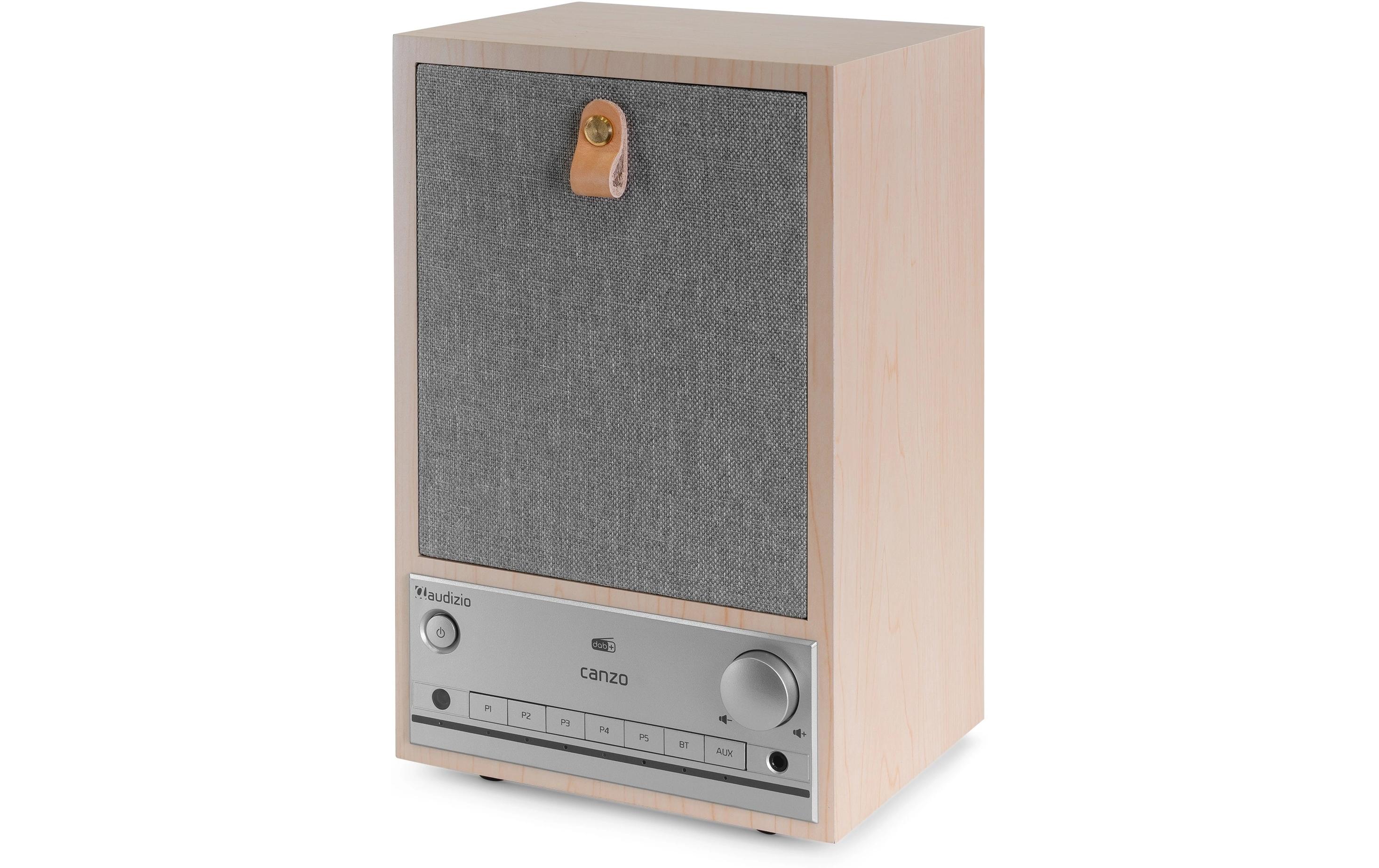 Audizio Internet Radio Canzo Braun