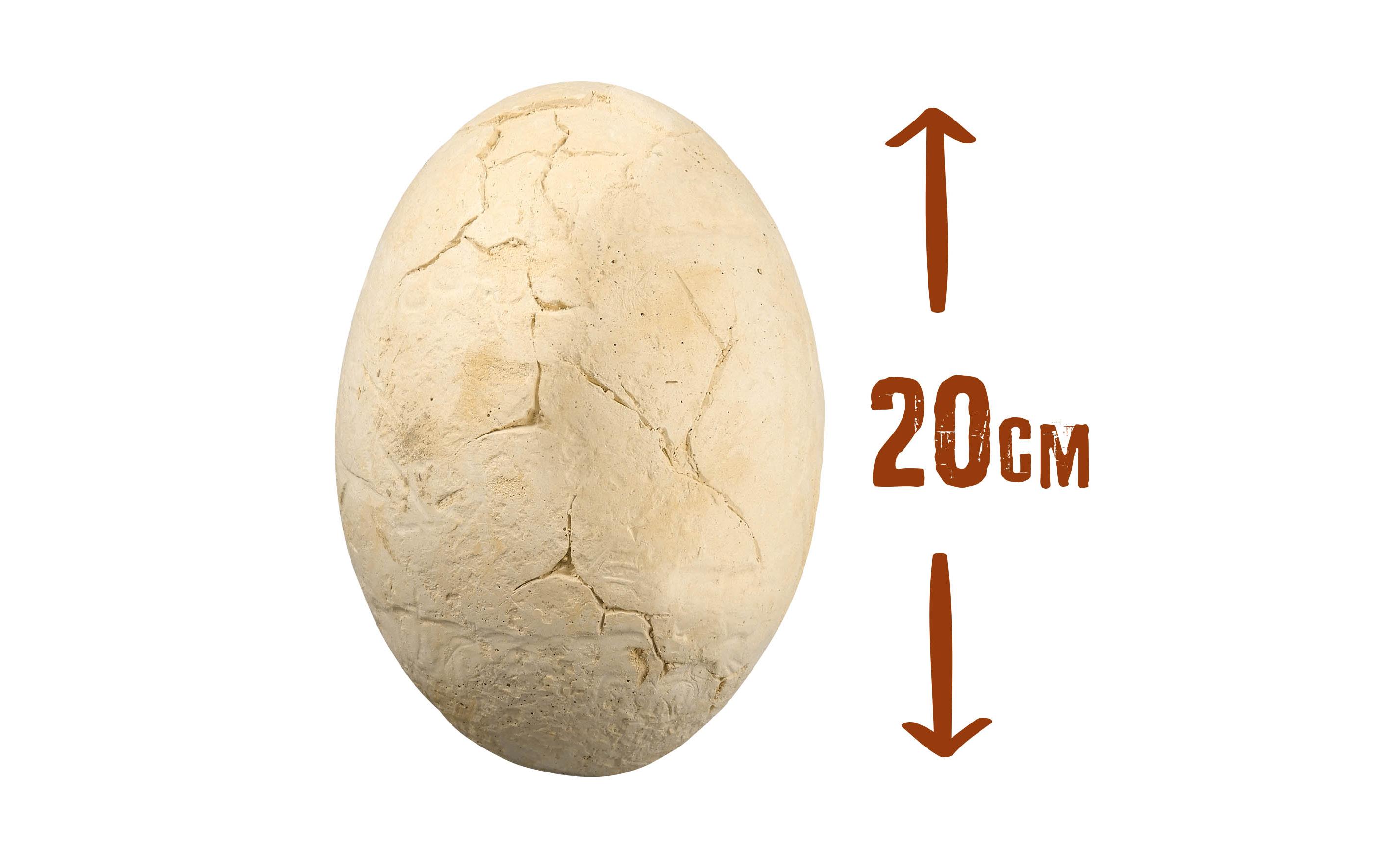 Buki Experimentierkasten Dino Mega Egg