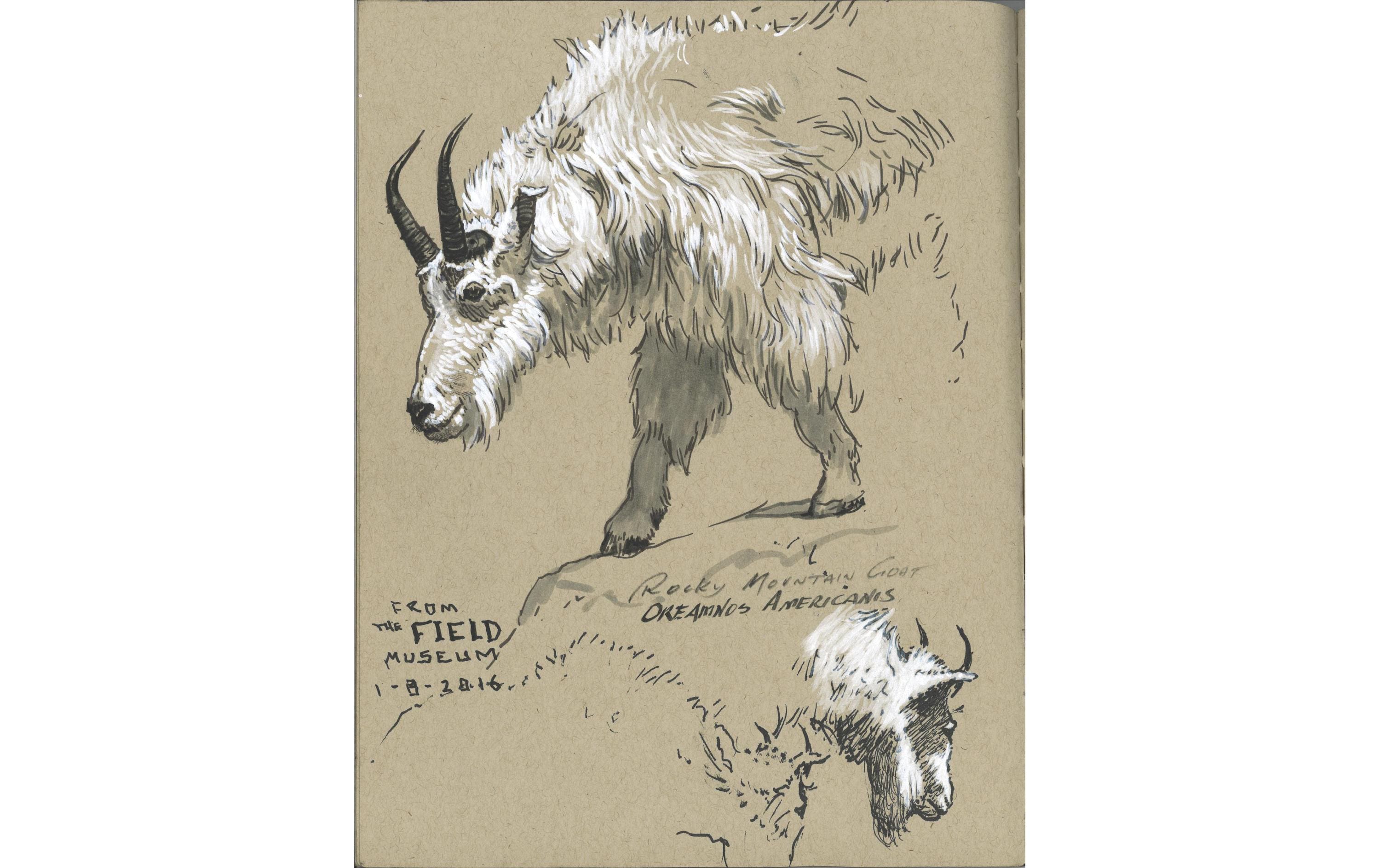 Faber-Castell Tuschestift Pitt Artist Pen Calligraphy 101 Weiss