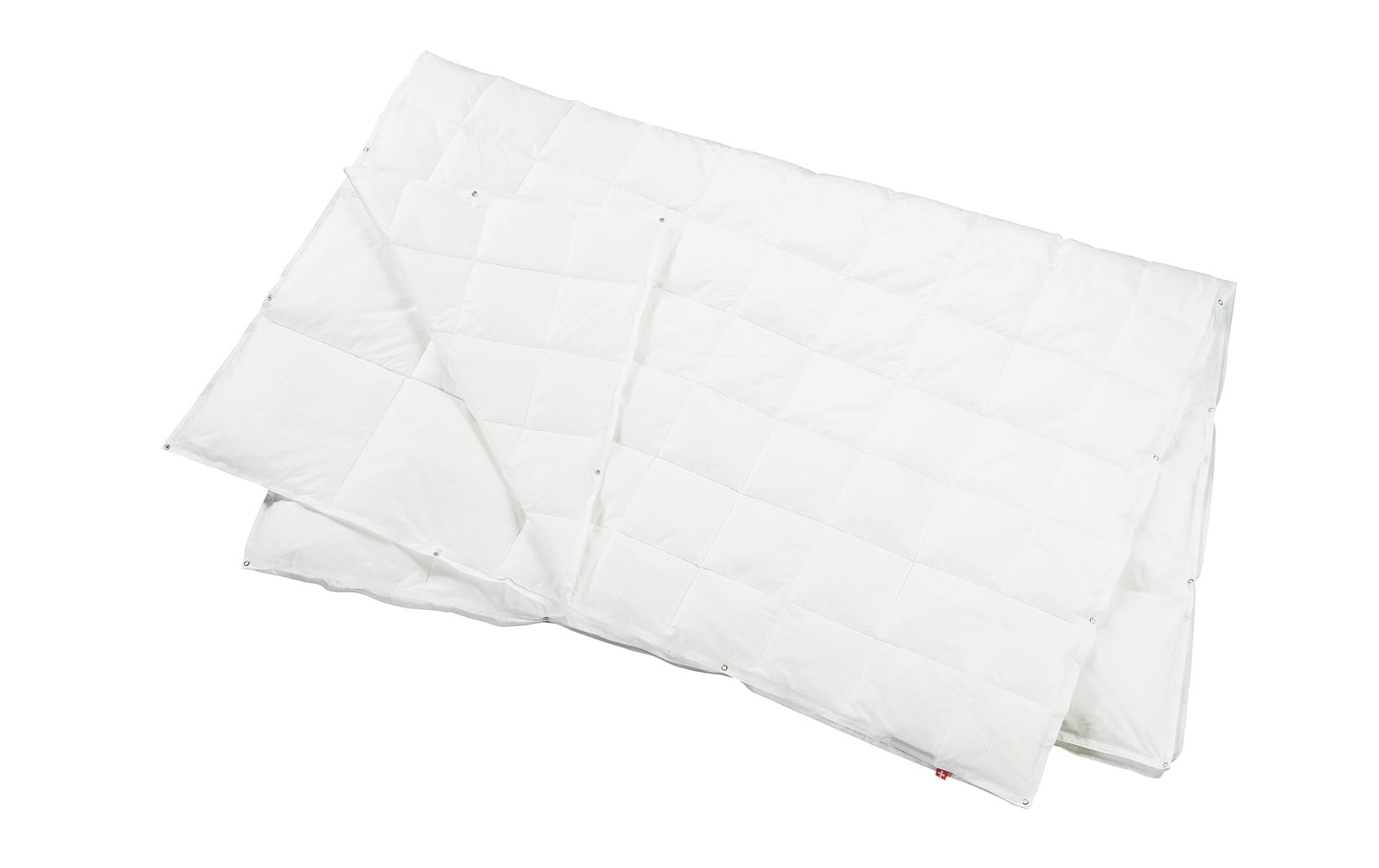 Billerbeck Duvet Recycled Goose 4-Saisons 160 x 210 cm