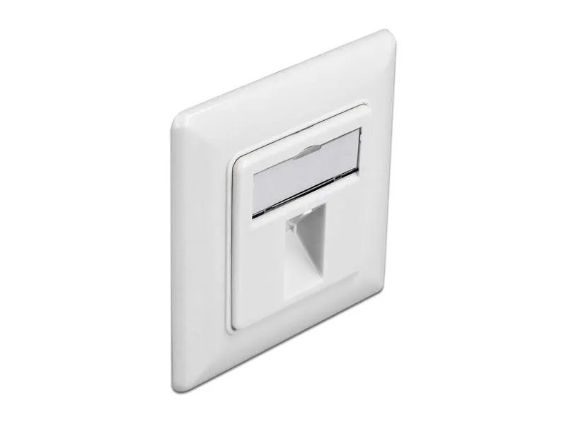 Delock Montageset 1 Port Keystone