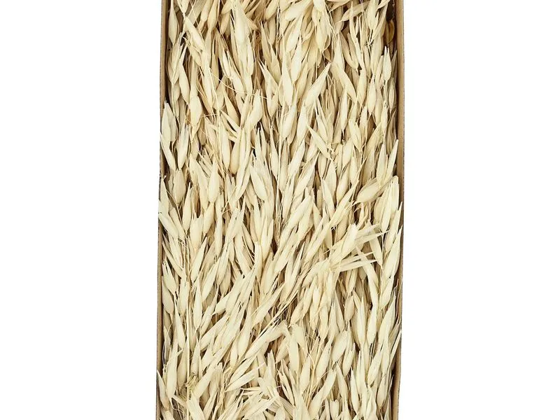 EGLO Trockenblume 60 cm EGLO Trockenblume 60 cm