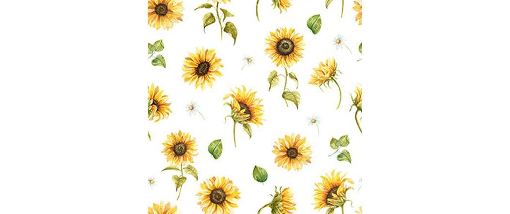 Braun + Company Papierservietten Sunflower blanc de blanc 20 Stück