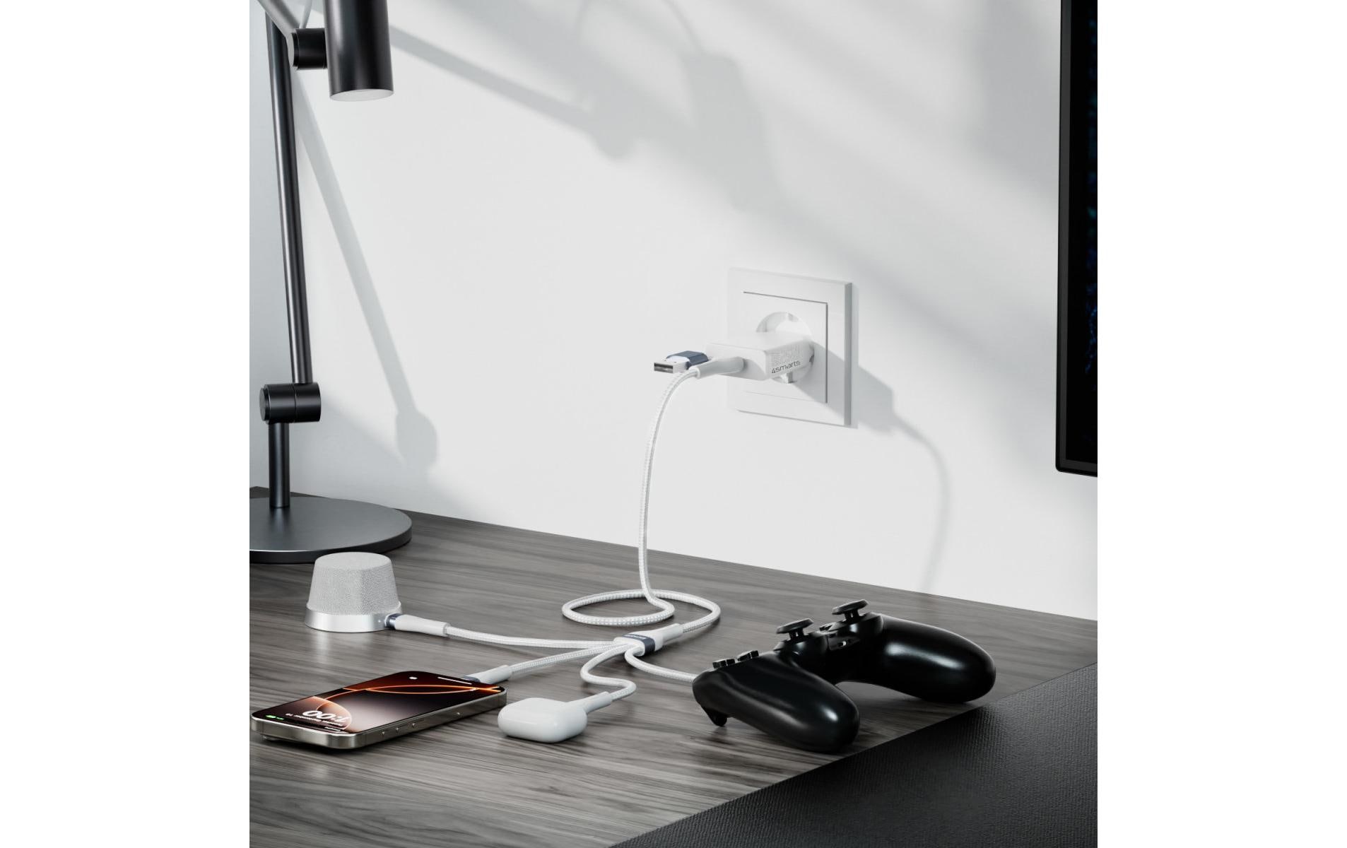4smarts USB-C/A Multi-Ladekabel 4in2 0.25 m