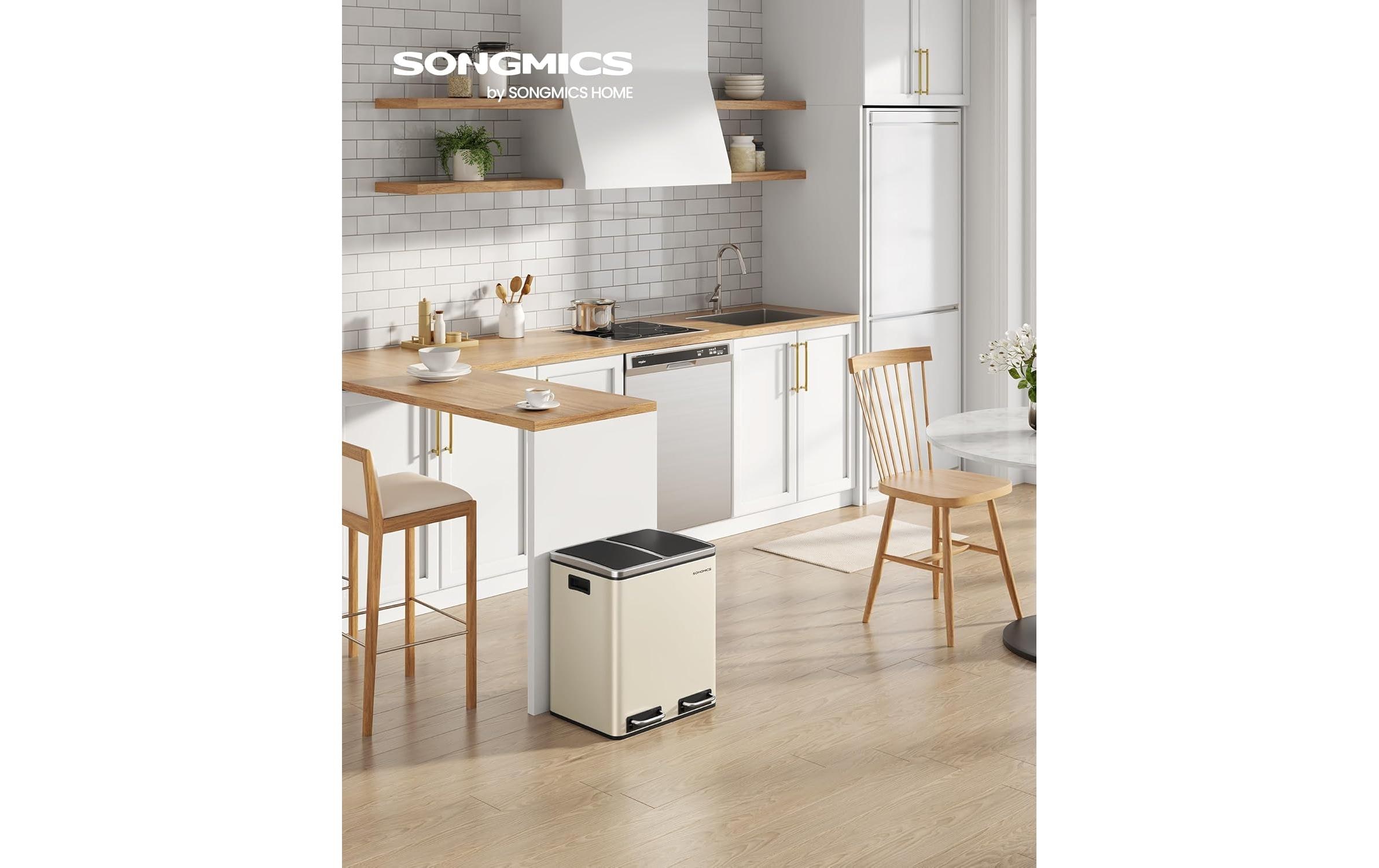 Songmics Abfalleimer 30 l, Schwarz