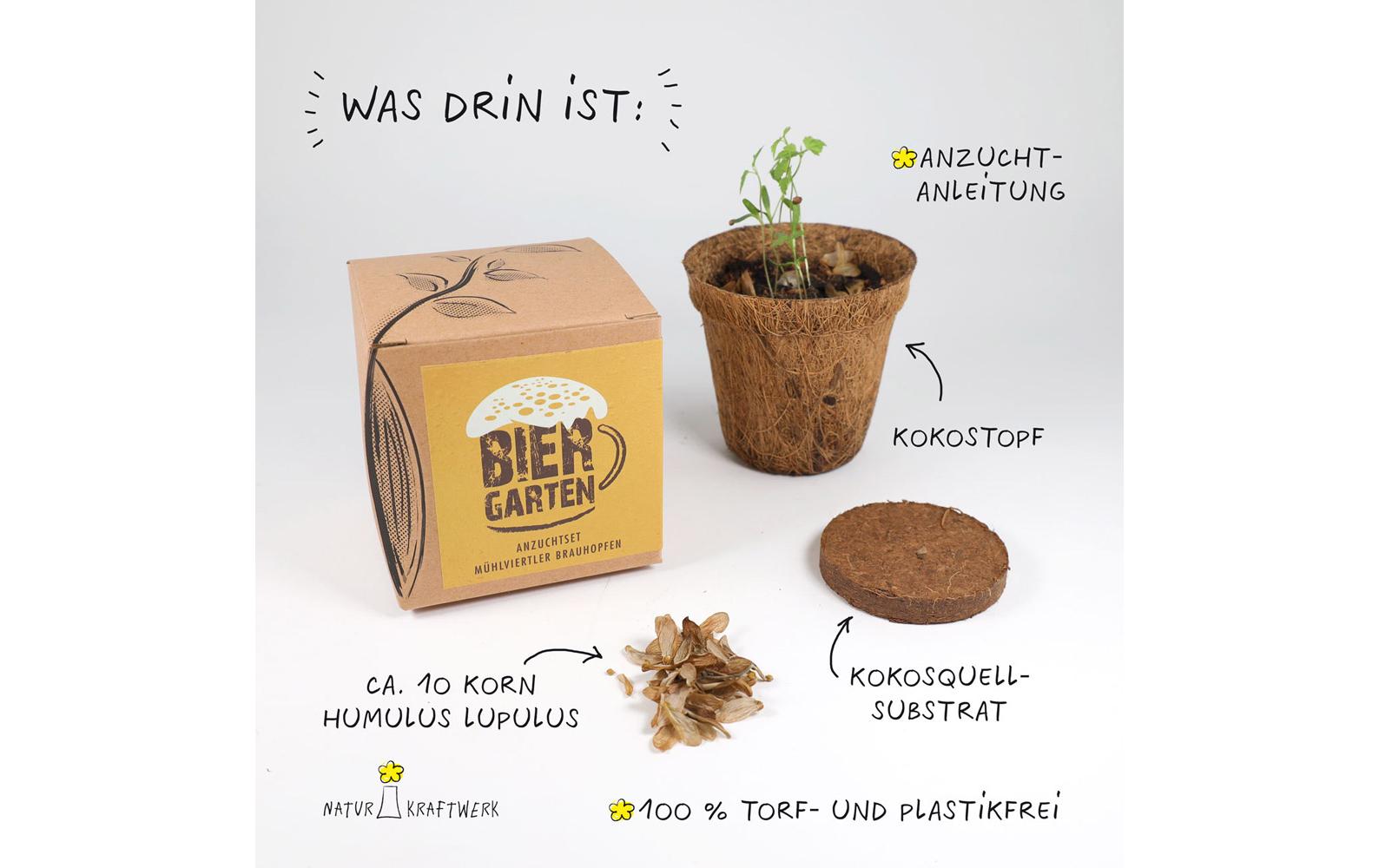 Naturkraftwerk Anzuchtset Biergarten, mit Hopfensaatgut