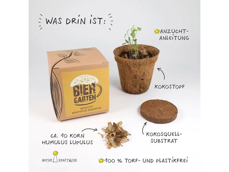 Naturkraftwerk Anzuchtset Biergarten, mit Hopfensaatgut