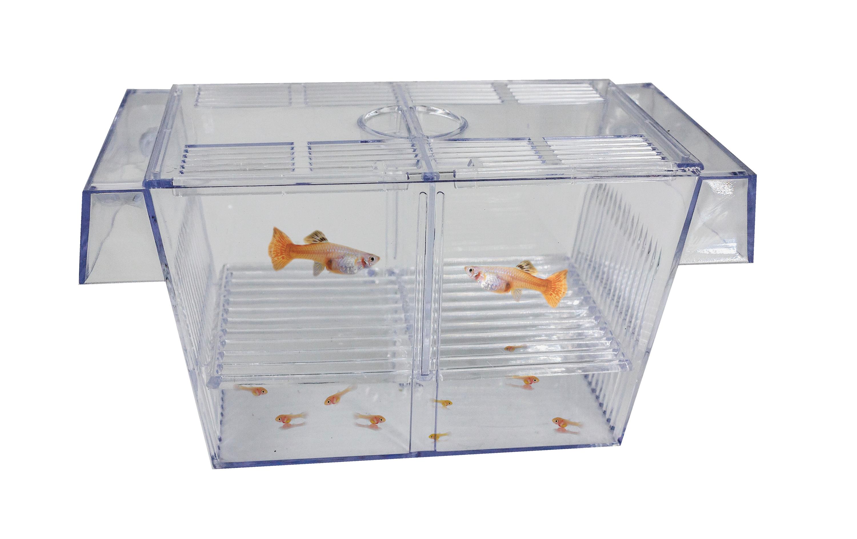 SuperFish Schwimmendes Aufzuchtbecken SuperFish Schwimmendes Aufzuchtbecken