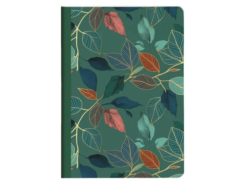 Clairefontaine Notizheft Gaia assortiert, A5, Liniert, Blau Clairefontaine Notizheft Gaia assortiert, A5, Liniert, Blau