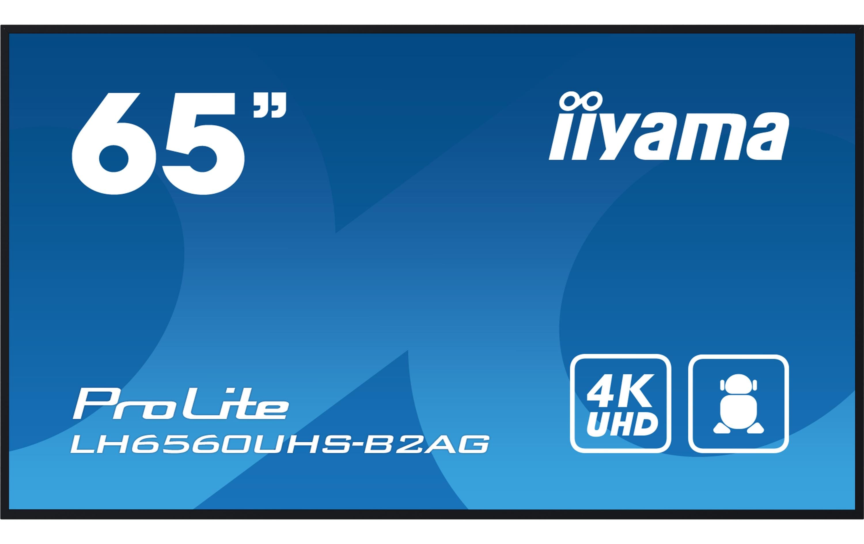 iiyama Public Display ProLite LH6560UHS-B2AG 65