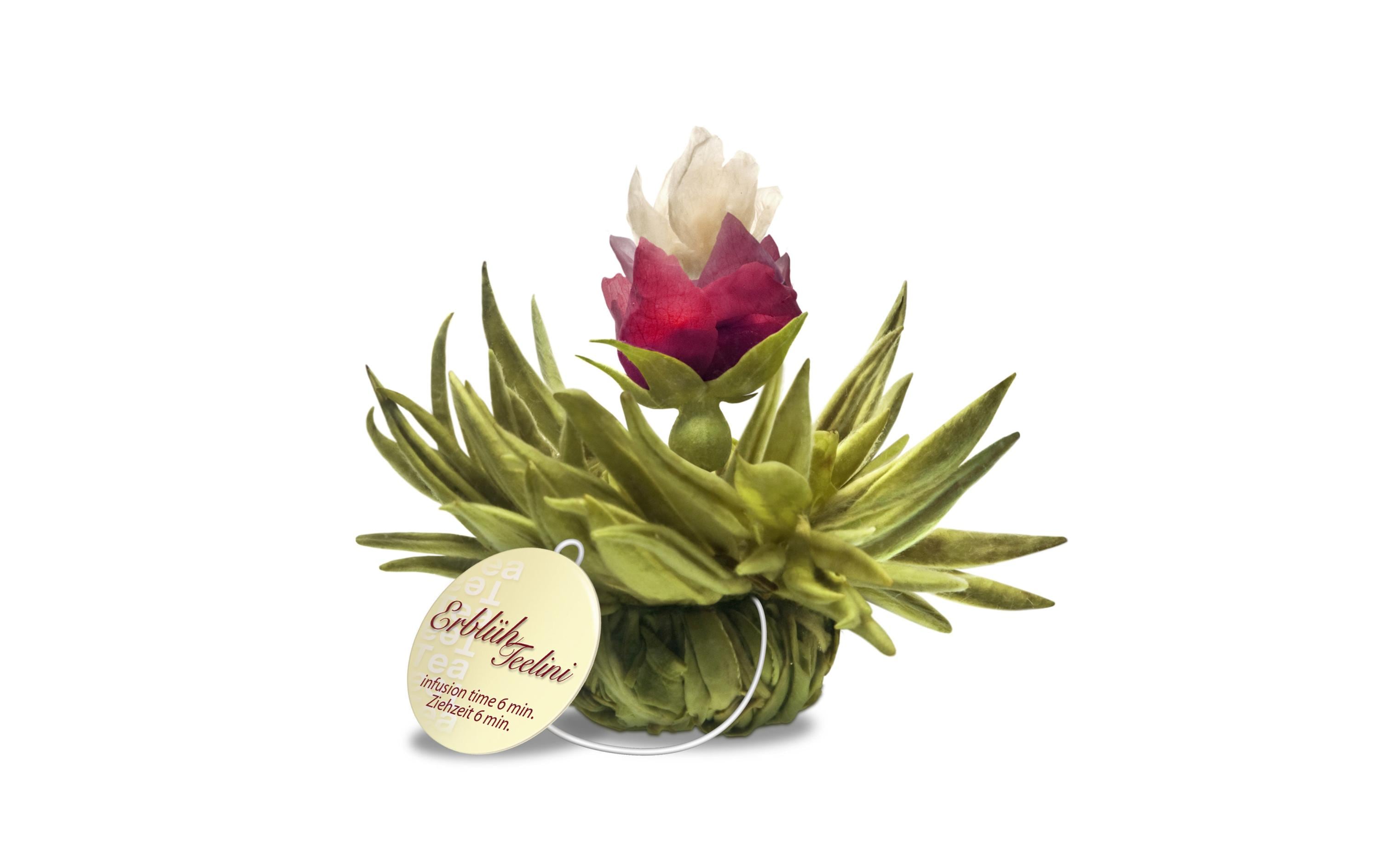 Creano Erblühtee Erblühteelini Weisstee 8er Set