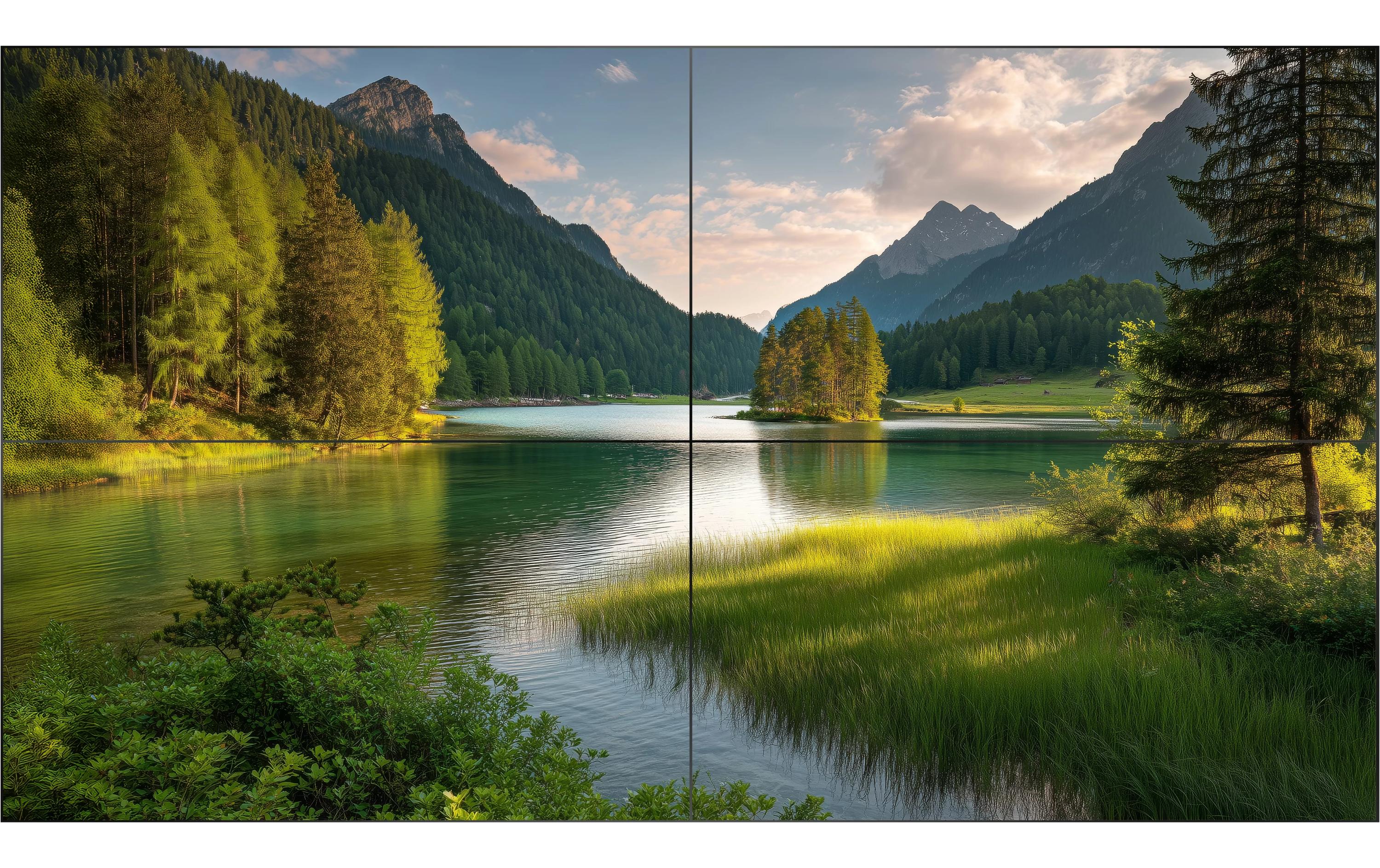 Philips Videowall Display X-Line 55BDL8007X 55