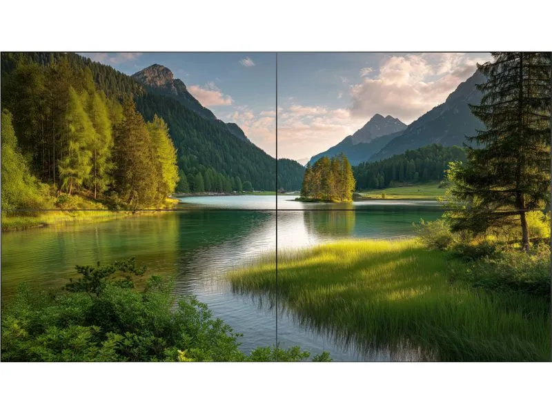 Philips Videowall Display X-Line 55BDL8007X 55