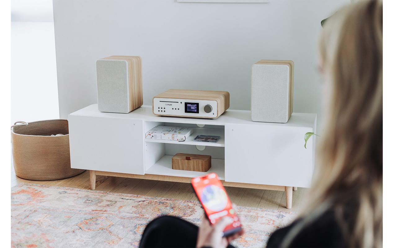 Pure Micro-HiFi Anlage Classic Stereo Eiche/Weiss