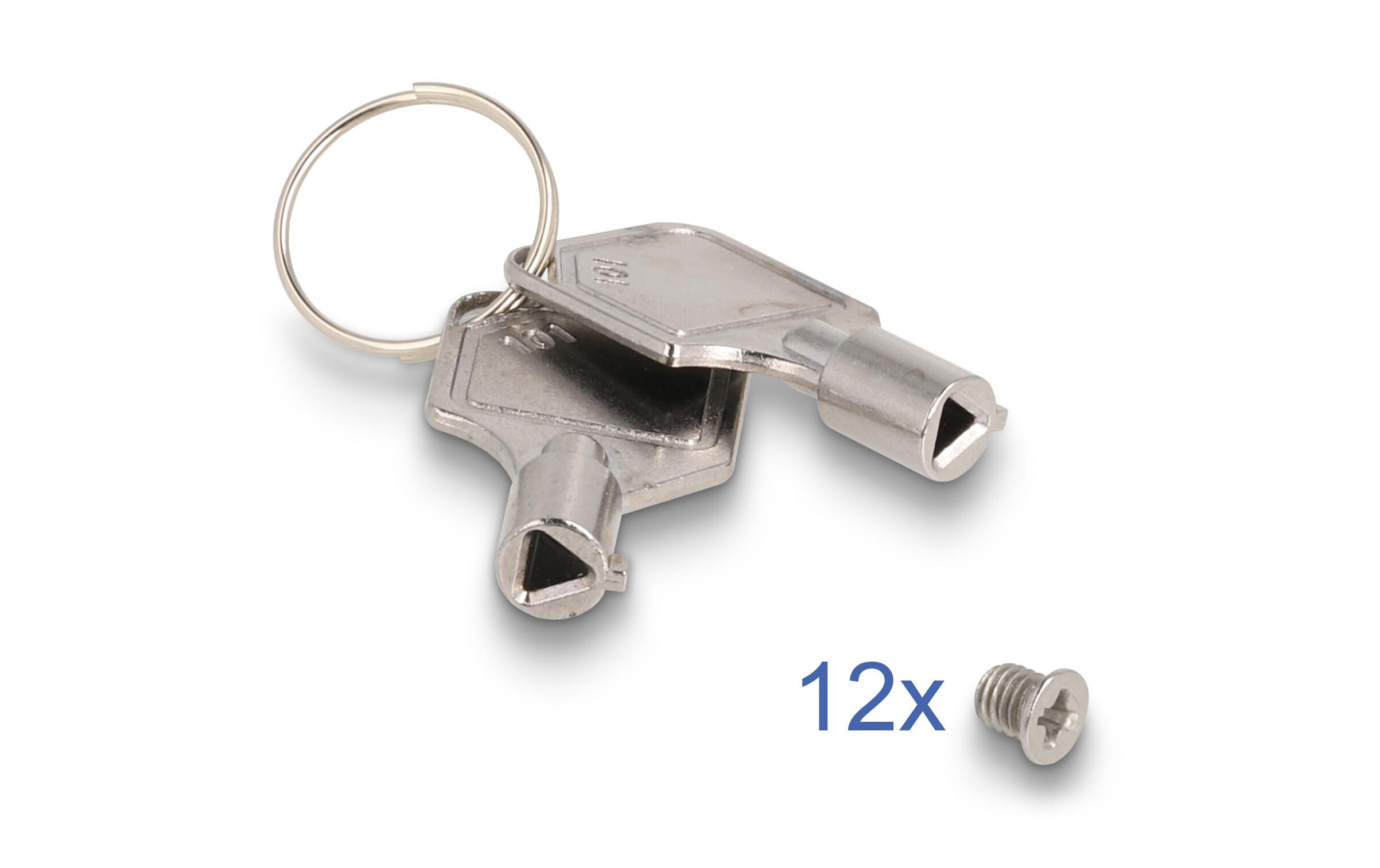 Delock Wechselrahmen Slim Bay U.2 NVMe 5.25